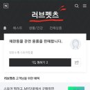 러브펫츠