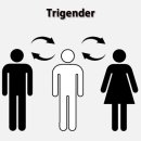 젠더퀴어-트라이젠더(Trigender) 이미지