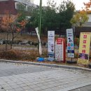 뽀독 애견 미용 이미지