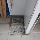 대전월평초등학교 이미지