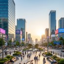 생명의근원Ⅱ 이미지