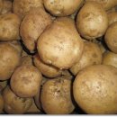 수정농장 이미지