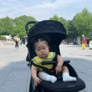 2023-0007 | [2024년 도쿄여행] 2일차 - 우에노 공원, 센소지, 시부야, 아자부다이힐스