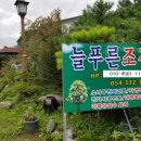 늘푸른잔디조경