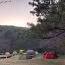 산림욕장 이미지