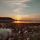 당나루물꽃마을 이미지