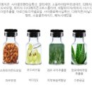 에비히 (Ewig) 이미지