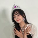 다이소본