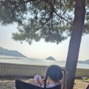 은모래민박 | 남해 상주은모래비치 캠핑장 2번째 방문 A15번 사이트