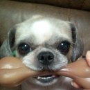 덕천3동-7 이미지