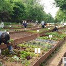 강서농산물도매시장 이미지