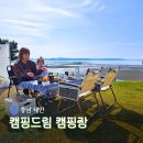 태안 캠핑드림 캠핑장 오션뷰 멋진 바다앞 캠핑장