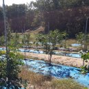 전창호농장 이미지