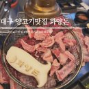 대구 양고기맛집 중화요리까지 맛있는 화양돈 솔직후기