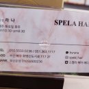 스펠라 헤어 메디컬 이미지