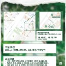 롬카페