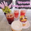 패디필드358 이미지