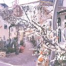 달성토성 이미지