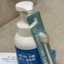 틀니 | 덴티미거품틀니세정제 후기ㅣ틀니세척 틀니관리가 필요할 때