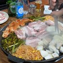 정원복돼지 이미지