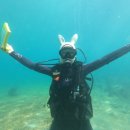 함비자 게스트하우스 이미지