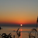 하루하루 이미지