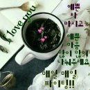 삼거리민박 이미지