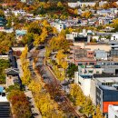 우리동네 단풍명소 어디? 테마별로 보는 &#39;서울 단풍길 110선&#39; 이미지
