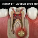 서울더정성치과의원 이미지