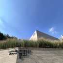 중리마을회관 | [동탄 숲속 대형카페 추천] 카페인중리 내돈내산 솔직후기 / 무료주차, 동탄 데이트 맛집
