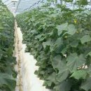 산옥농장 이미지