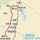 명품꽃마을 Daum카페