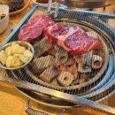 제50카센타 이미지