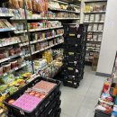 반석당구장 | 2024上 (1)