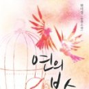 코드디앤씨 이미지