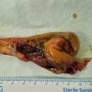 김종연내과의원 이미지