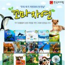 자연아부탁해 이미지