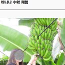 제27회 나비대축제 문화예술 공연 | 2025 함평나비대축제 총정리(일정, 장소, 프로그램, 초대가수 공연 라인업, 예매)