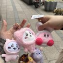 리코리카 이미지