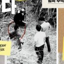 성실카