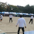 당산초등학교 이미지