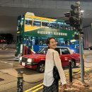 안개티천 | 홍콩 여행 2박 3일 1일차 코스ㅣ옥토퍼스 카드 발급, 공항버스 타는 법, 미드레벨 에스컬레이터, 피크...