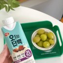 근육편의점 | 편의점 단백질 음료 추천 하림오늘단백 프로틴음료 후기