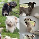 멍즈니랜드 이미지