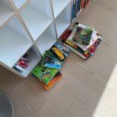 신생아 책육아 (~6m, 단행본 후기📚사과가 쿵, 달님안녕, 튤립 사운드북, 헝겊책 코야, 빼뜨르 호라체크 등)