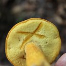 수원-1859 이미지