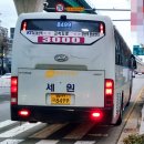 주식회사금아여행 이미지