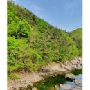 봉덕계곡 이미지