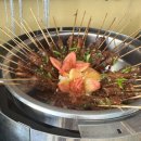 수영맥스모텔 | 바다로 시작해서 바다로 끝나는 여행, 보라카이