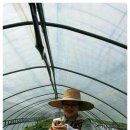 김동주농장 이미지